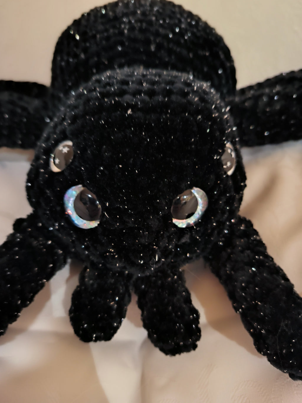 Spinne Tarantula