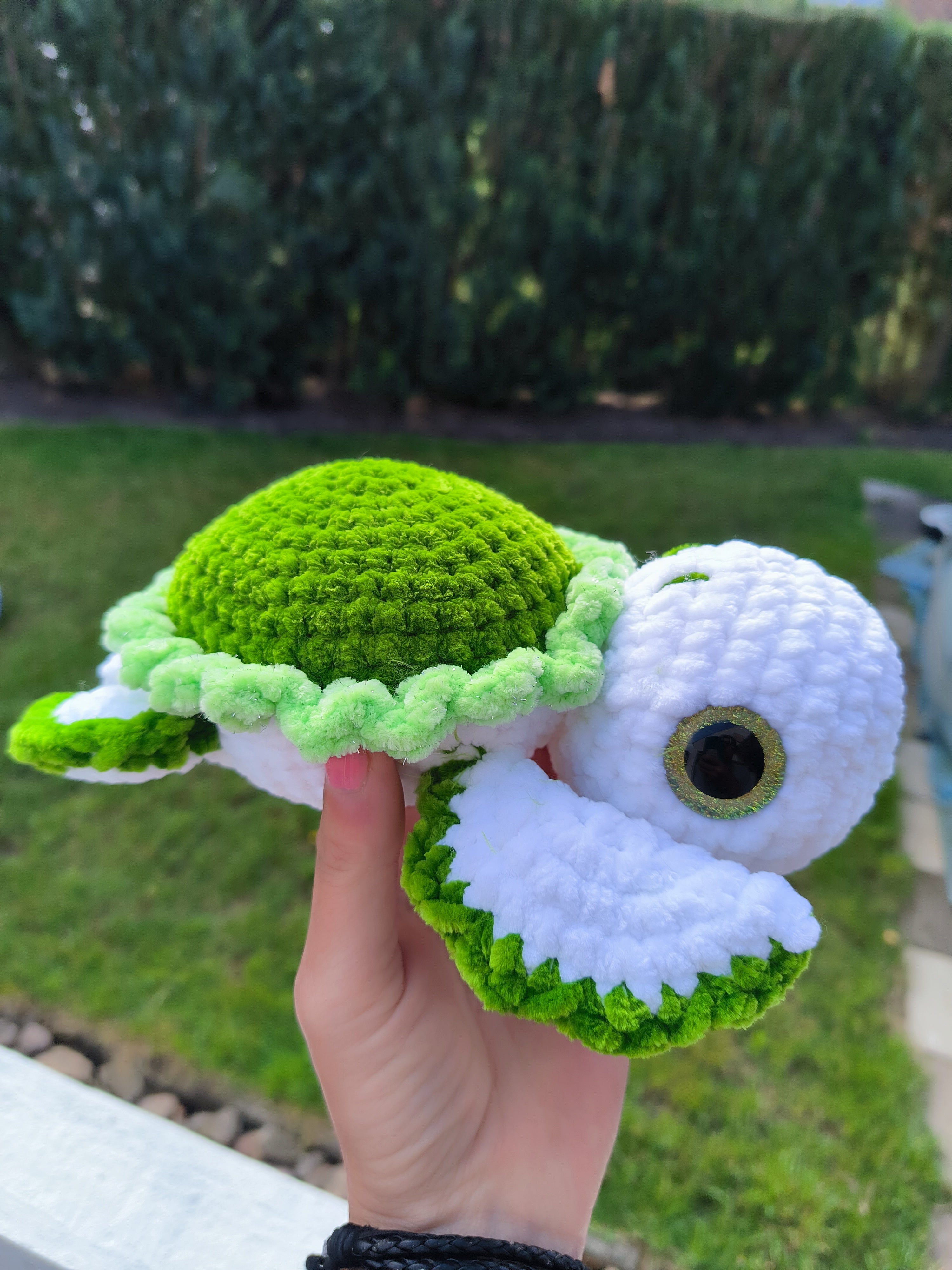 Schildkröte