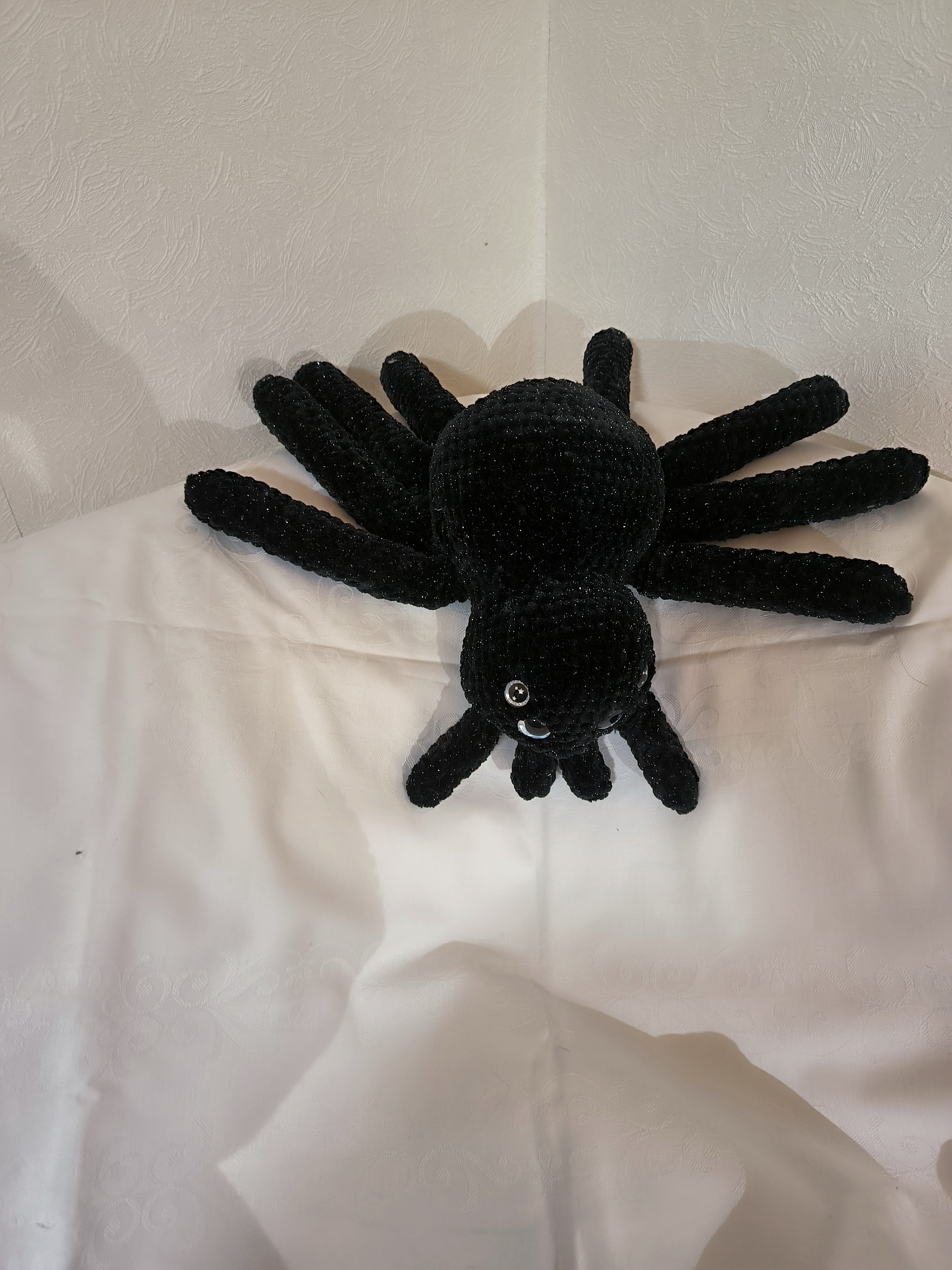 Spinne Tarantula