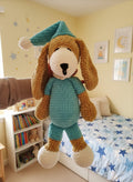 Sammy der schlafende Hund