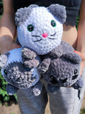 Katze
