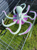 Oktopus Leo